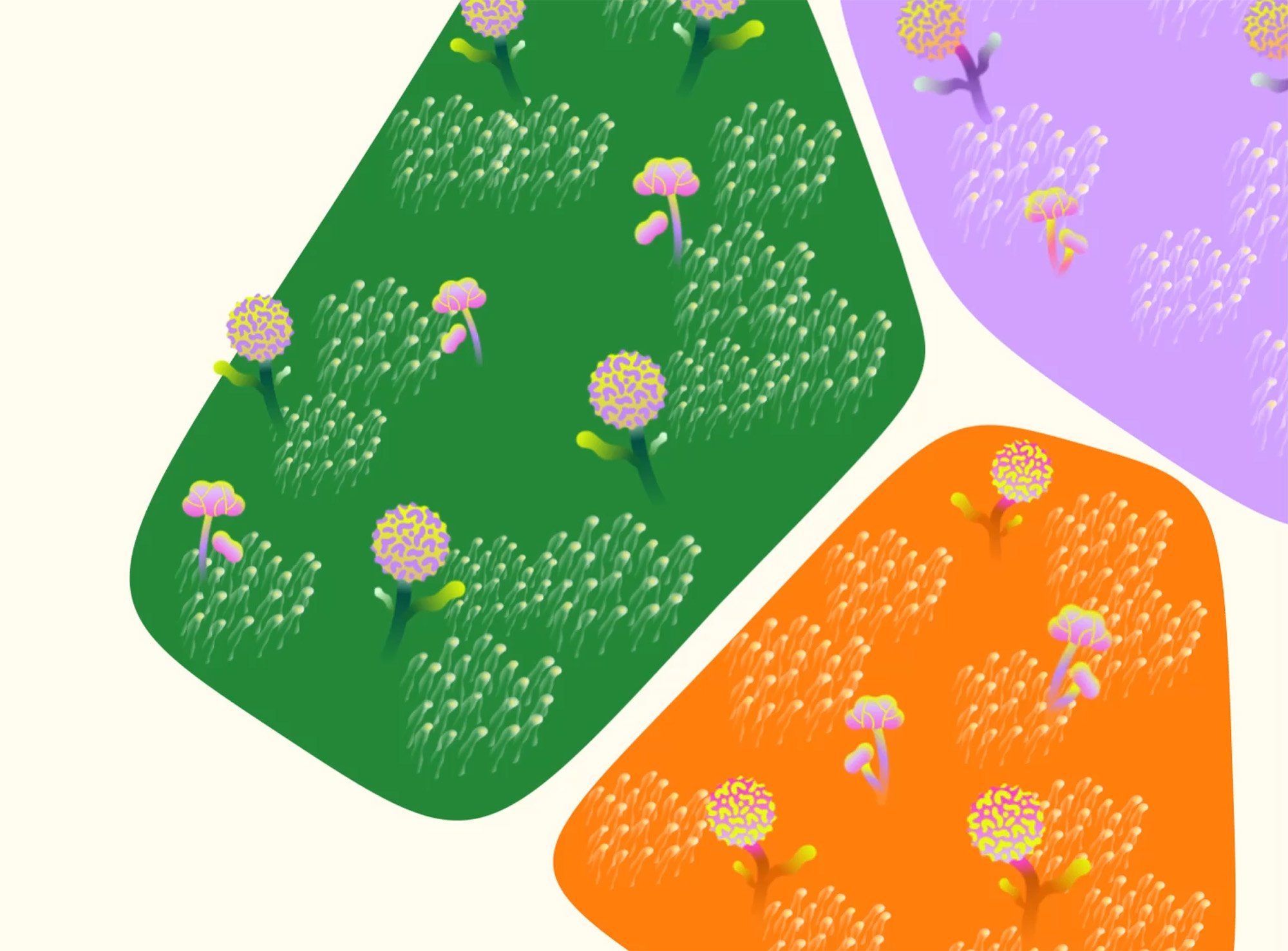 Sproutiful